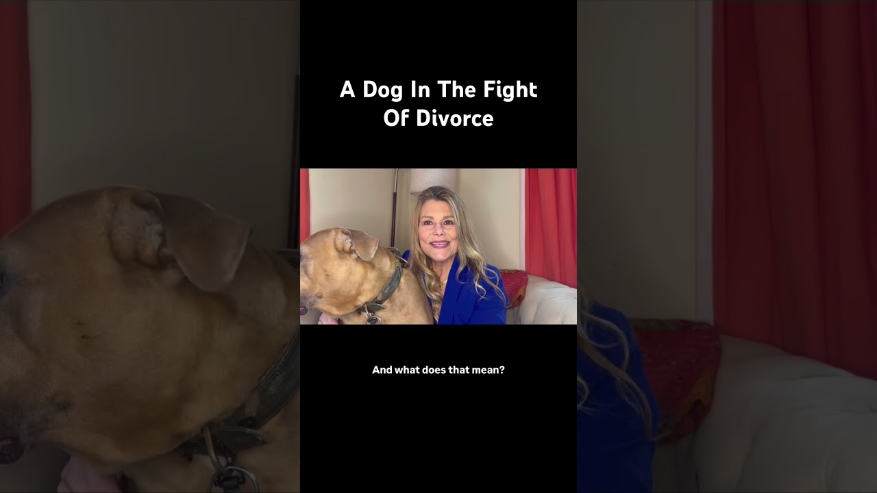 @marjorie_dilima breaks down what it means to have a dog in the fight of your #divorce