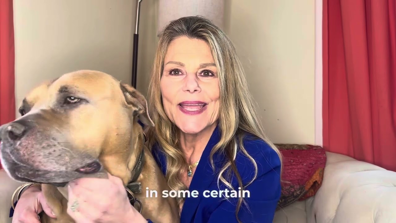 A dog in the fight of divorce.